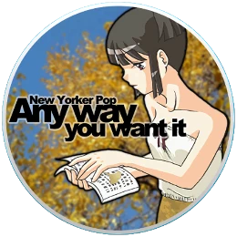 Any Way You Want it Disk Images