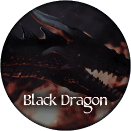 Black Dragon Disk Images