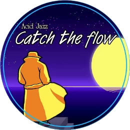 Catch The Flow Disk Images