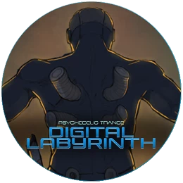 Digital Labyrinth Disk Images