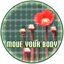 Move your body Disk Images