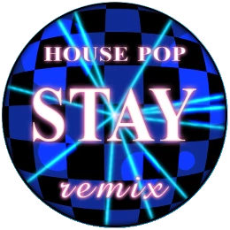 Stay (Radio Edit) Disk Images