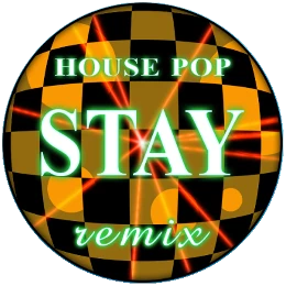 Stay (Radio Edit) Disk Images