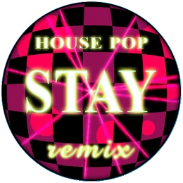 Stay (Radio Edit) Disk Images