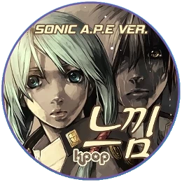 느낌 (Sonic A.P.E Ver) Disk Images